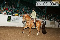 yn_05_0849 proof
