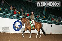 yn_05_0853 proof