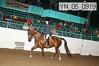 yn_05_0919 proof