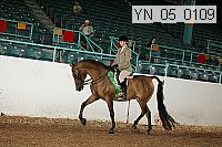 yn_05_0109 proof