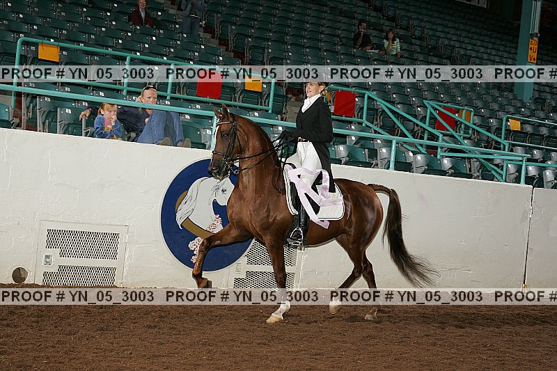 Proof yn_05_3003