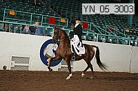 yn_05_3003 proof