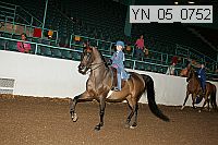 yn_05_0752 proof