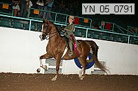 yn_05_0791 proof