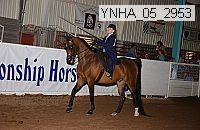 ynha_05_2953 proof
