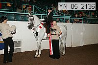 yn_05_2136 proof