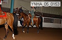 ynha_05_0153 proof