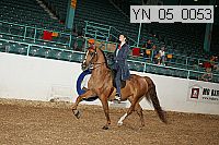 yn_05_0053 proof