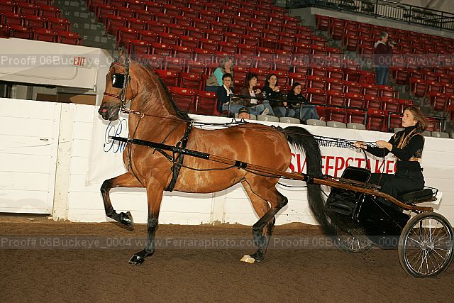 Proof 06buckeye_0004
