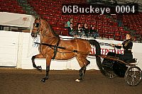 06buckeye_0004 proof