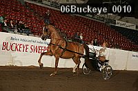 06buckeye_0010 proof