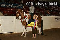06buckeye_0014 proof