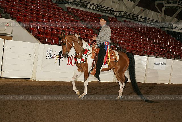 Proof 06buckeye_0015