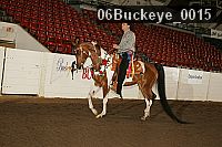 06buckeye_0015 proof