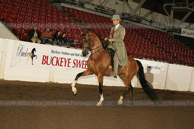 Proof 06buckeye_0018