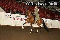 06buckeye_0018 proof