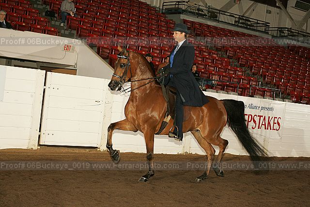Proof 06buckeye_0019