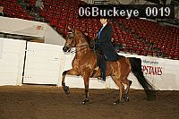 06buckeye_0019 proof