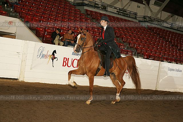 Proof 06buckeye_0020