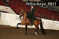 06buckeye_0021 proof
