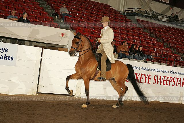 Proof 06buckeye_0022