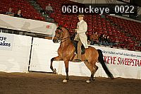 06buckeye_0022 proof
