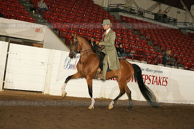 Proof 06buckeye_0023