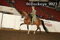 06buckeye_0023 proof