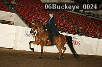 06buckeye_0024 proof