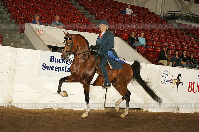 Proof 06buckeye_0025