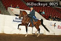 06buckeye_0025 proof