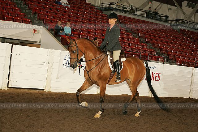 Proof 06buckeye_0027