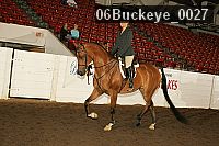 06buckeye_0027 proof