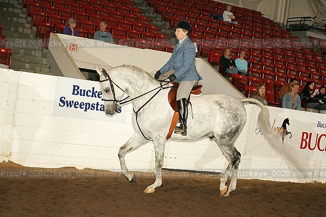 Proof 06buckeye_0028