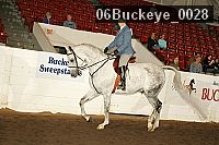 06buckeye_0028 proof