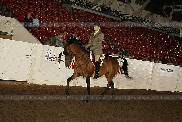 Proof 06buckeye_0029