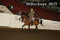 06buckeye_0029 proof