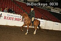 06buckeye_0030 proof