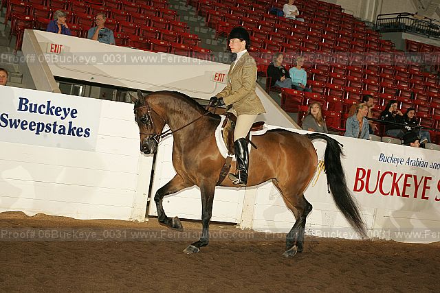 Proof 06buckeye_0031
