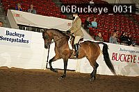 06buckeye_0031 proof