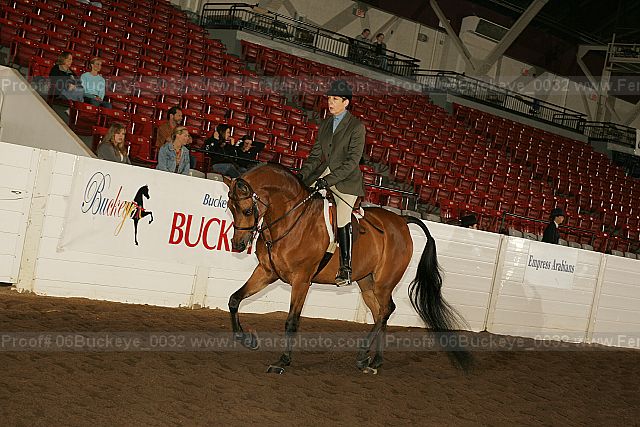 Proof 06buckeye_0032