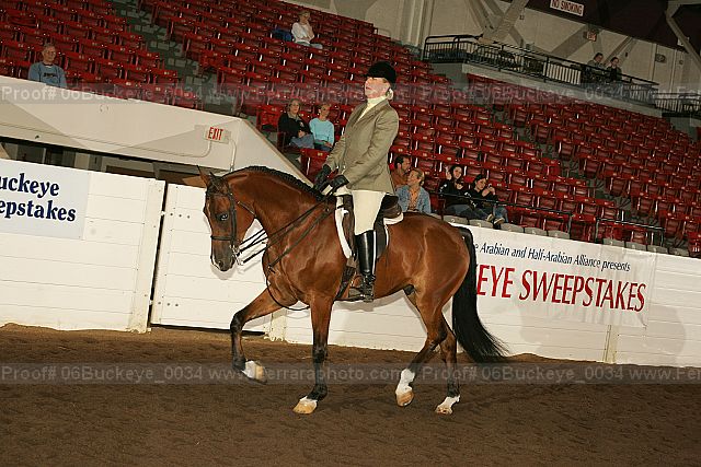 Proof 06buckeye_0034