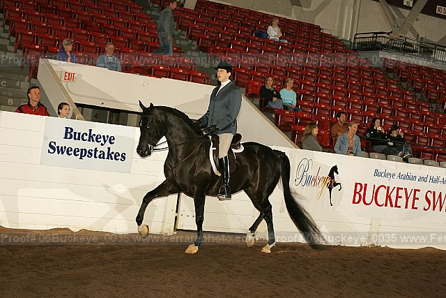 Proof 06buckeye_0035
