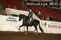 06buckeye_0035 proof