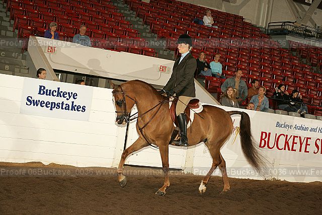 Proof 06buckeye_0036