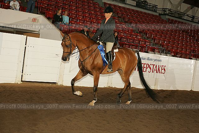 Proof 06buckeye_0037