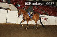 06buckeye_0037 proof