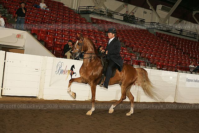 Proof 06buckeye_0039