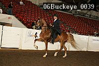 06buckeye_0039 proof
