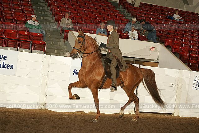Proof 06buckeye_0040